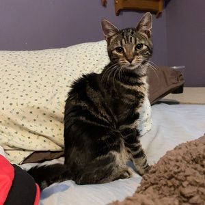 Meet your Posher, Ebbey